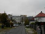 Borovina