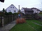 Třibřichy