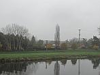 Neratovice