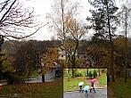 Borovina