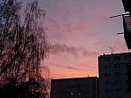 Borovina