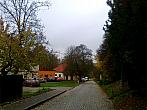 Borovina