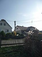 Třibřichy