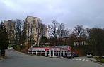 Borovina