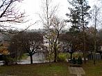 Borovina