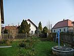 Třibřichy