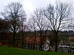 Borovina