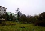 Borovina