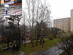 Borovina