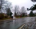 Borovina