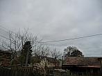 Třibřichy