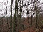 Blansko