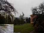 Borovina