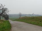 Třibřichy