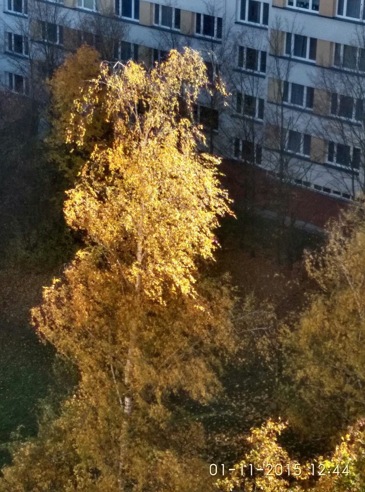 Brno Lesná