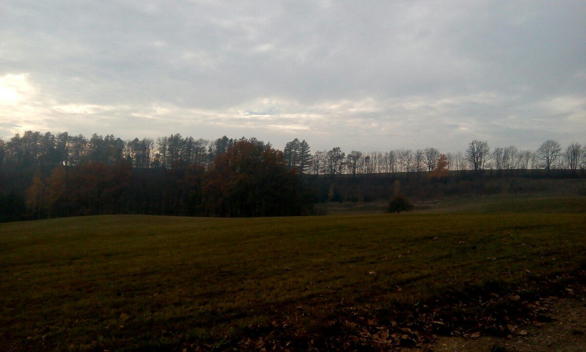 Skuhrov nad Bělou