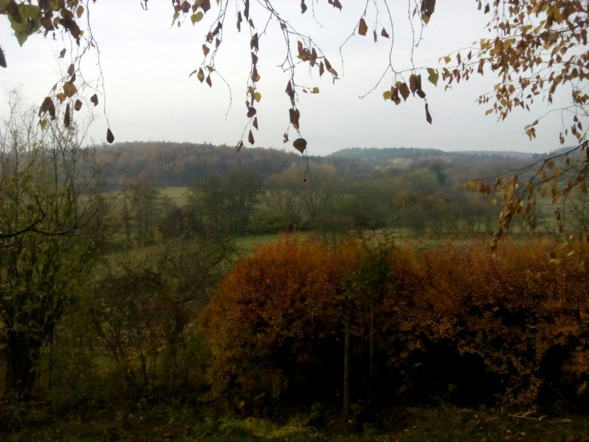 Habrovany