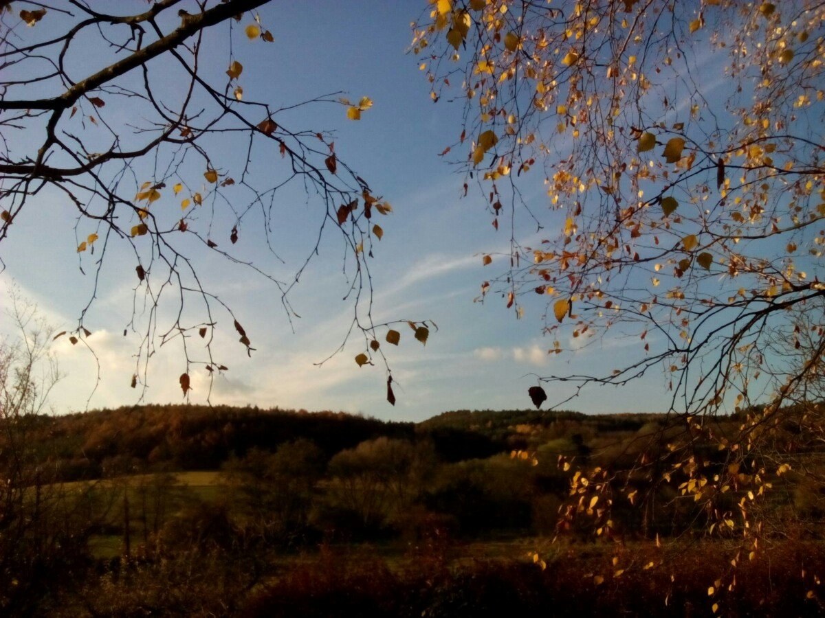 Habrovany