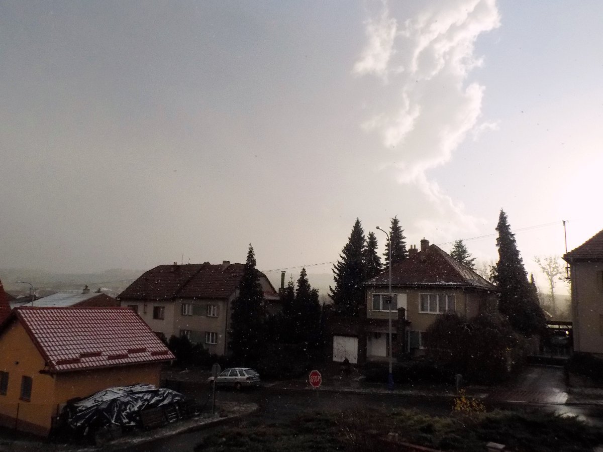 Kvasice