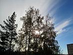 Borovina