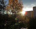 Borovina