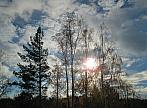 Borovina