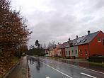 Borovina