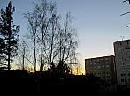 Borovina