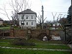 Třibřichy