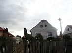 Třibřichy