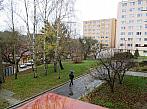 Borovina
