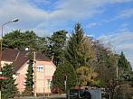 Neratovice