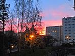 Borovina