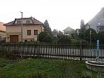Třibřichy
