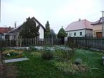 Třibřichy