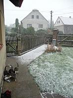 Třibřichy