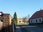 Třibřichy