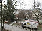 Borovina
