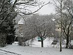 Borovina