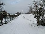 Borovina