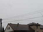 Třibřichy
