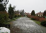Borovina