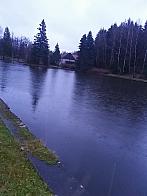 Mosty