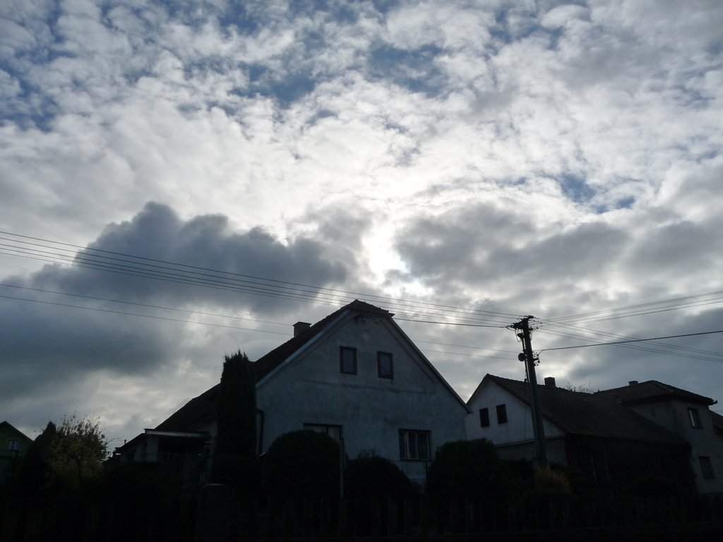 Třibřichy