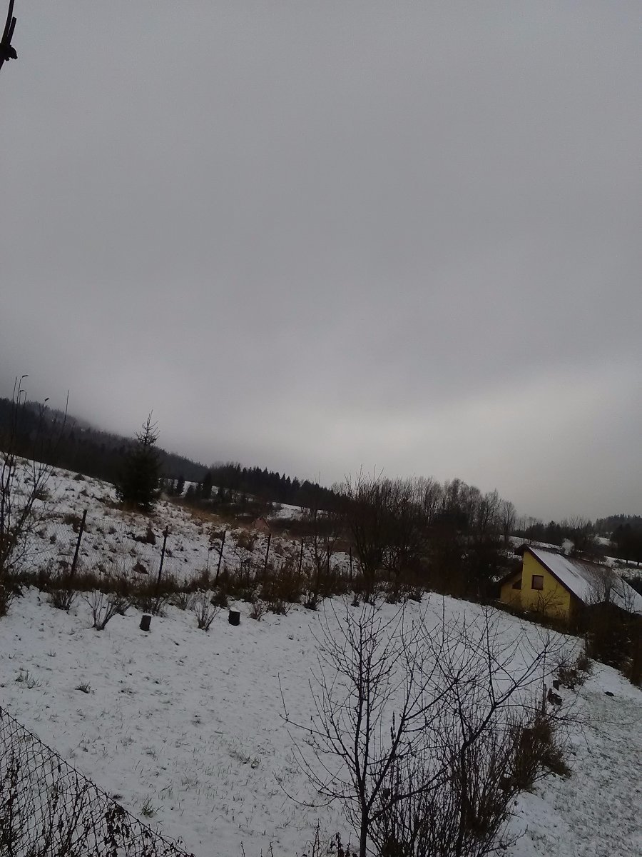 Skalité