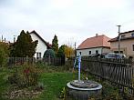Třibřichy