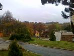 Borovina