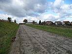 Třibřichy