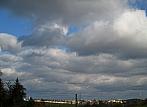 Borovina