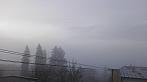 Tachov